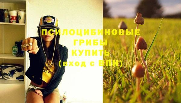 крисы Балабаново